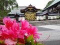 japonsko_kamakura 6