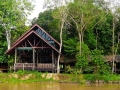 malajsie_borneo_kinabatangan_10
