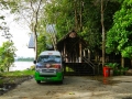 malajsie_borneo_kinabatangan_11