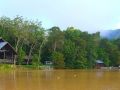 malajsie_borneo_kinabatangan_12