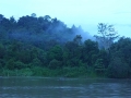 malajsie_borneo_kinabatangan_4