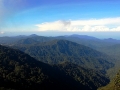 malajsie_cameron_highland_5