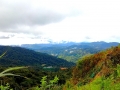 malajsie_cameron_highland_6