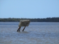 usa_everglades_10