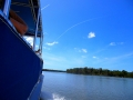 usa_everglades_11