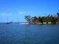 usa_everglades_13