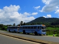 dambulla_4