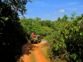 dambulla_minneriya_sloni_safari_4