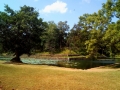 dambulla_sigiriya_pidurangala_1
