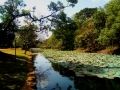 dambulla_sigiriya_pidurangala_7