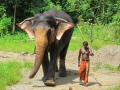 sri_lanka_kandy_3