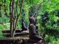 sri_lanka_kandy_5
