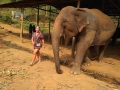 slon_ stanice_chiang_mai_1