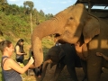 slon_ stanice_chiang_mai_8