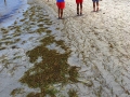 usa_florida_miami_1