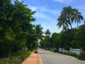 usa_florida_miami_6